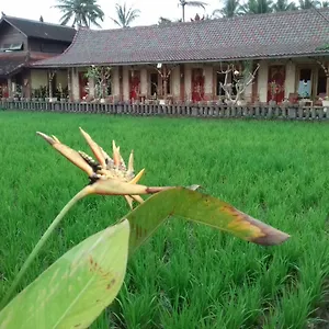 5* Affittacamere Rice Padi Artha